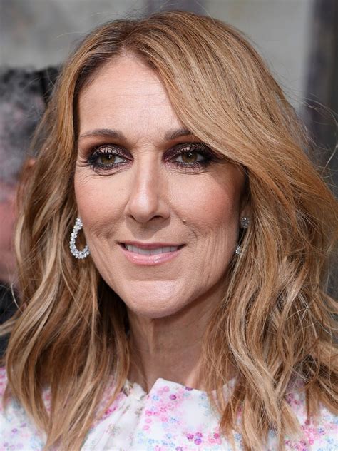 céline dior marke|Celine dion biography.